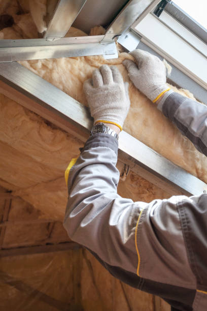 Best Specialized Insulation Services in Fort Wayne, IN