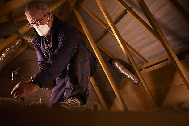 Types of Insulation We Offer in Fort Wayne, IN